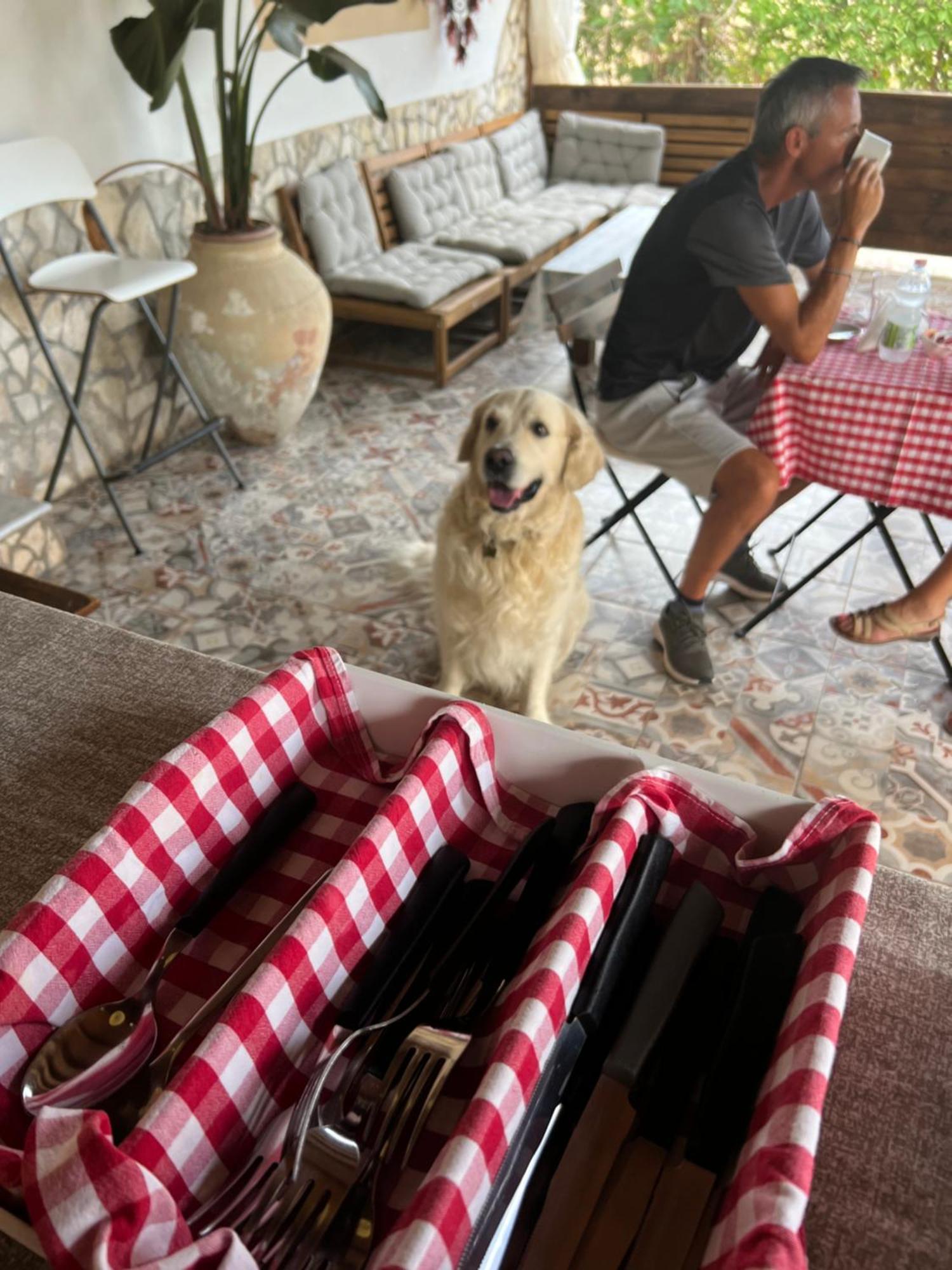 Cozzo Spadaro B&B Portopalo Di Capo Passero 外观 照片