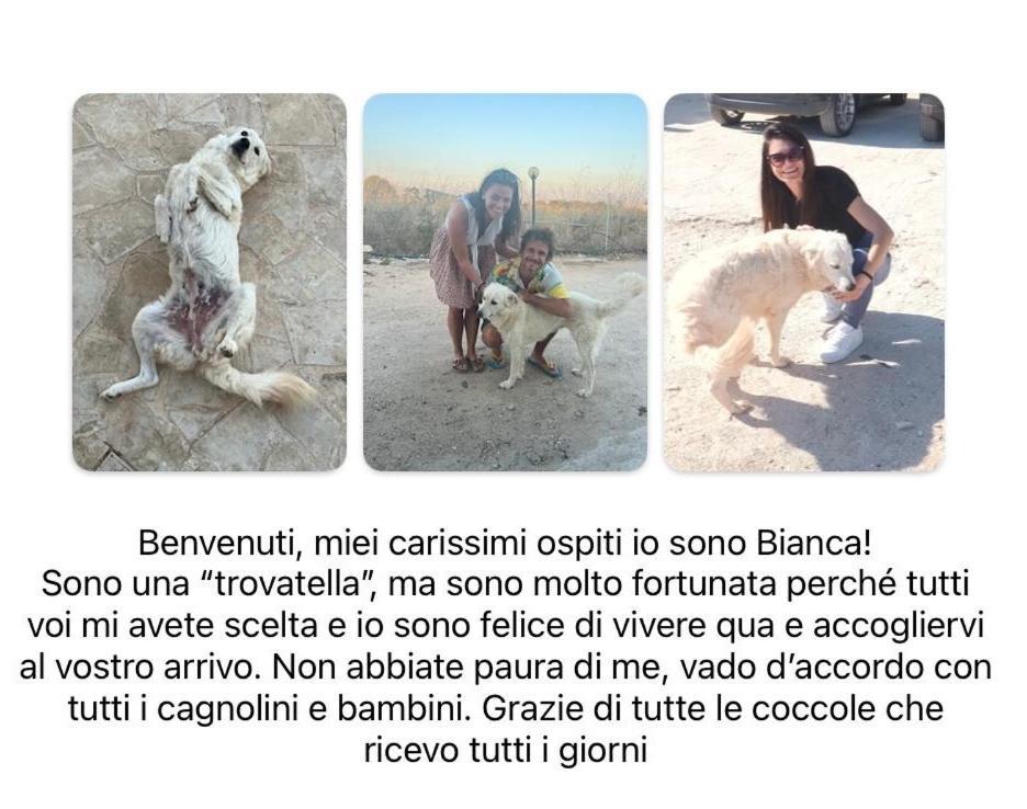 Cozzo Spadaro B&B Portopalo Di Capo Passero 外观 照片